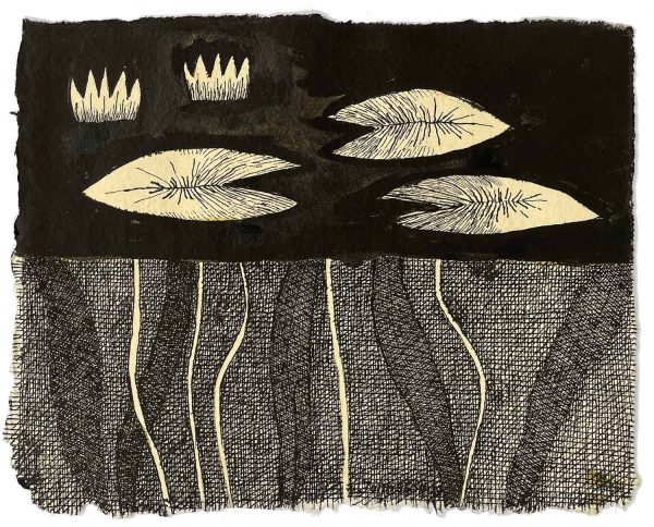 Waterlily, drawing by Jolanta Johnsson