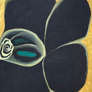 Black rose, flower painting decorative art, fine art by Jolanta Johnsson