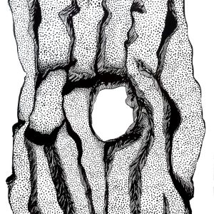 Intriguing hole, drawings black and white by Jolanta Johnsson