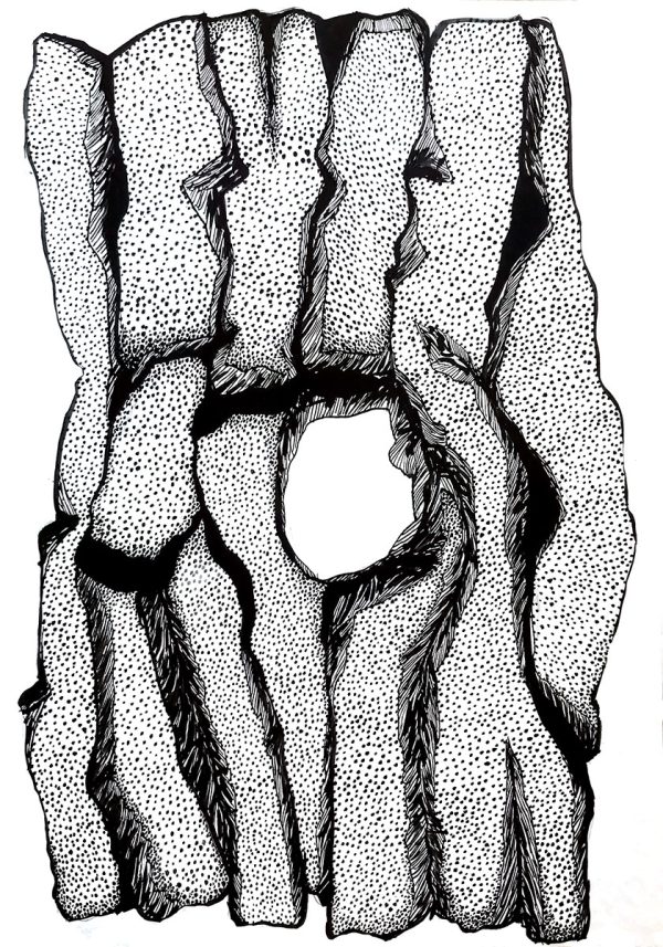 Intriguing hole, drawings black and white by Jolanta Johnsson