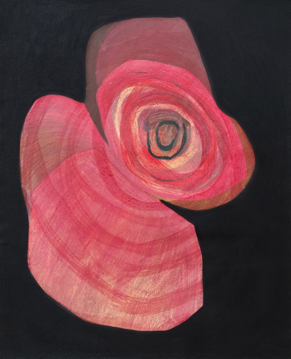 Rose in black background, flower painting, decorative art, fine art, by Jolanta Johnsson